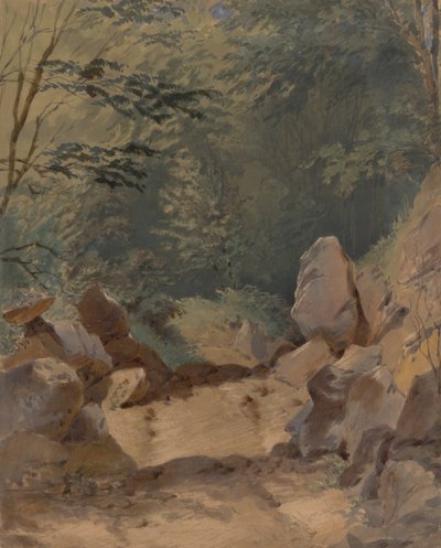 Paysage forestier avec rochers - Friedrich Carl von Scheidlin